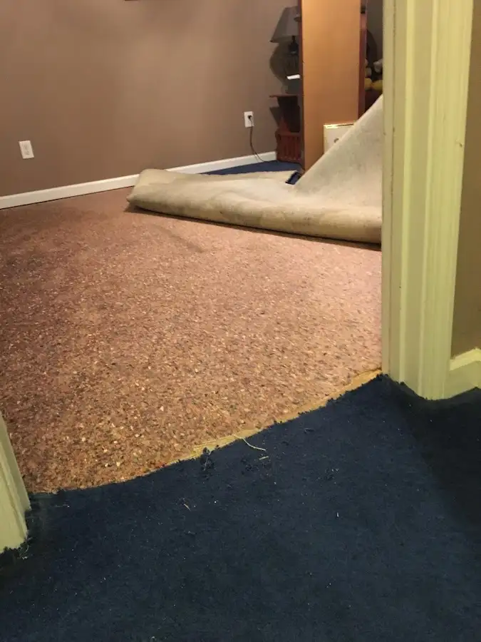 Carpet pad removal revealing water damage during Drying & Dehumidification in Brandermill